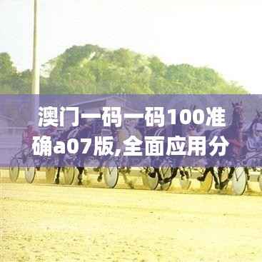澳门一码一码100准确a07版,全面应用分析数据_LE版3.198