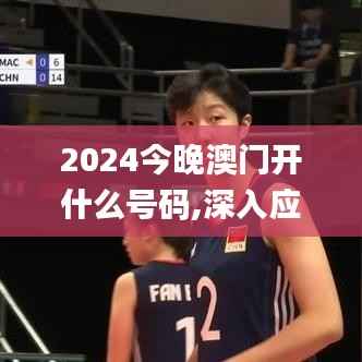 2024今晚澳门开什么号码,深入应用数据解析_豪华款2.711