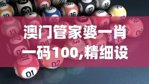 澳门管家婆一肖一码100,精细设计策略_Essential3.171