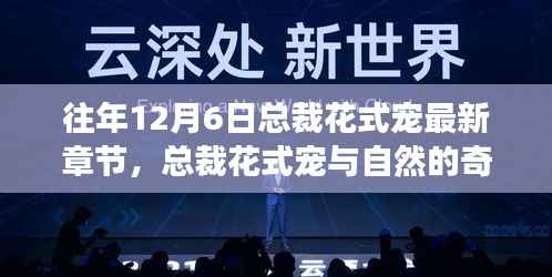 总裁花式宠,与自然交融的心灵之旅