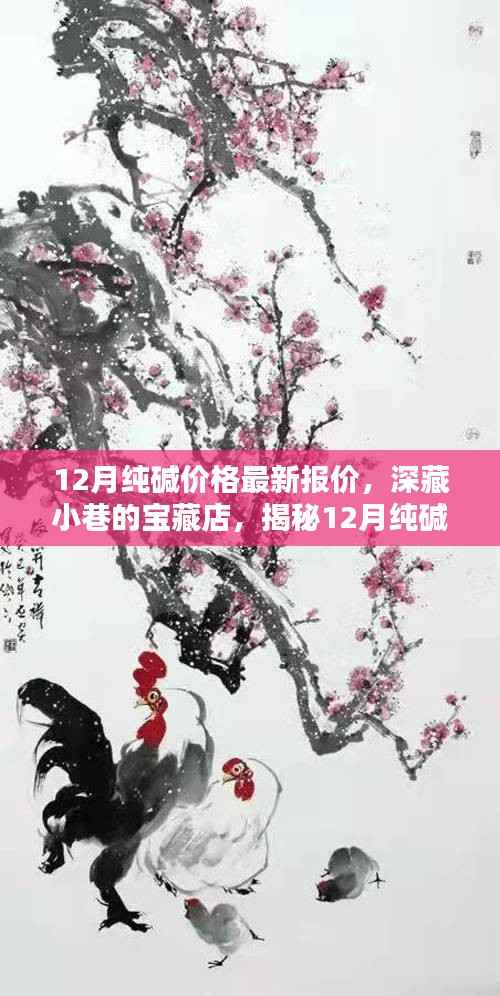 12月纯碱价格最新报价揭秘,小巷宝藏店的独特魅力