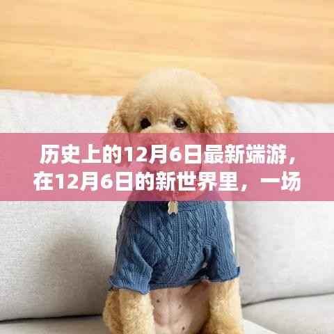 12月6日新端游启程,游戏中的温馨日常之旅