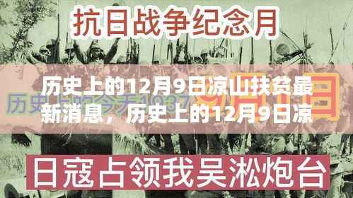 历史上的12月9日凉山扶贫动态大揭秘,最新消息与全面解读