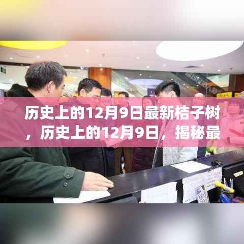 揭秘,最新桔子树的传奇故事——历史上的12月9日回顾