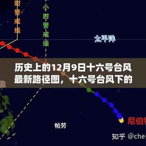 十六号台风下的温馨日常与家的温暖,一场与风的奇妙冒险
