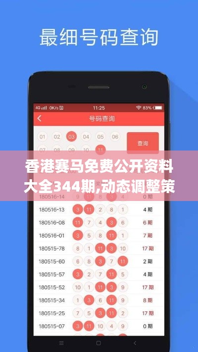 香港赛马免费公开资料大全344期,动态调整策略执行_S14.203
