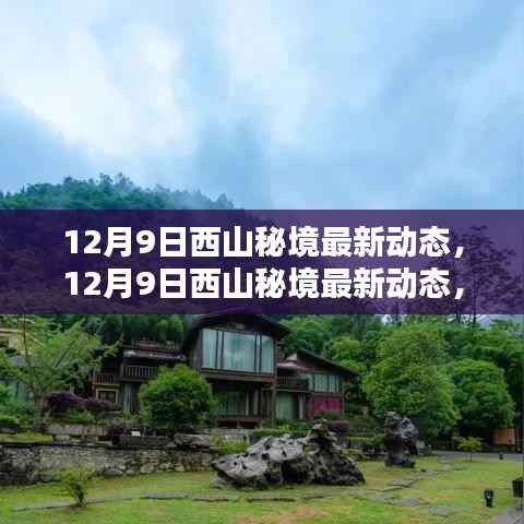 探秘西山秘境,最新动态与冬日自然盛宴