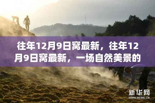 寻找心灵的宁静,一场自然美景的探秘之旅——往年12月9日的最新体验