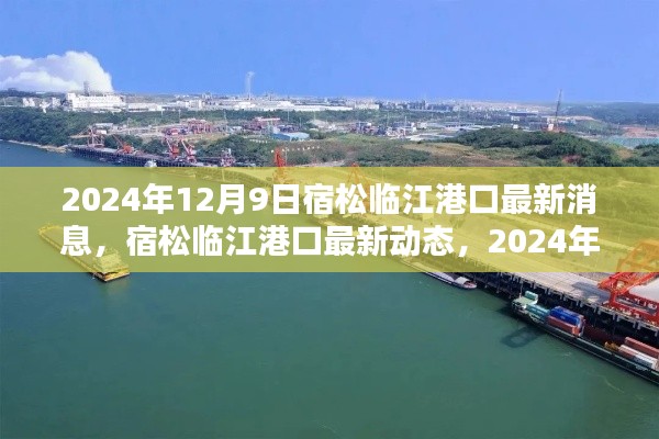 宿松临江港口最新动态与运营指南,2024年港口发展新消息
