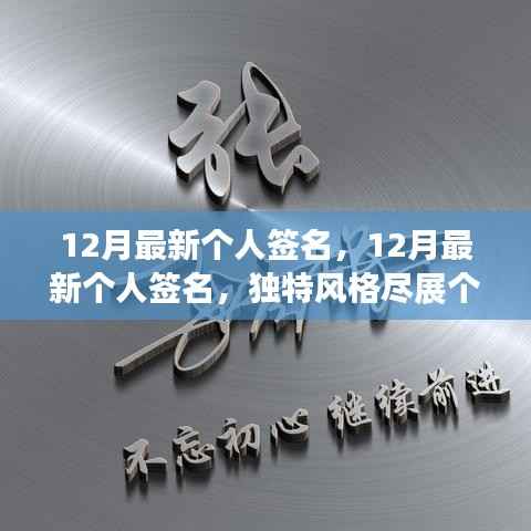 12月独特个性签名,展现个人魅力的最新风格
