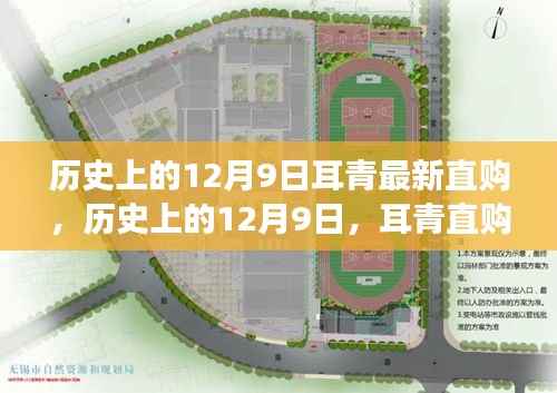耳青直购带你穿越历史,开启心灵与自然的美妙之旅——历史上的十二月九日特别直购活动