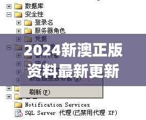 2024新澳正版资料最新更新345期,数据驱动方案实施_Chromebook8.711