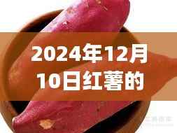 2024年红薯种植新技术探讨,最新种植革新与观点阐述