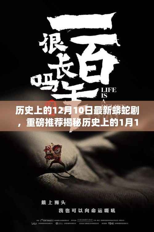 时空交错视觉盛宴,蟒蛇剧揭秘历史日期的神秘故事