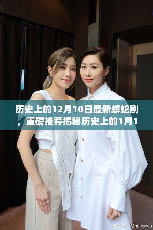 时空交错视觉盛宴,蟒蛇剧揭秘历史日期的神秘故事