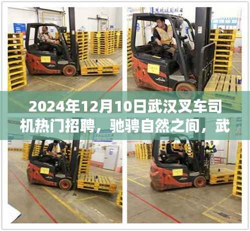 武汉叉车司机热门招聘启事,驰骋自然之间,探寻内心宁静的旅程