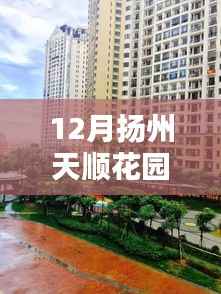 扬州天顺花园三期深度测评报告,产品特性、用户体验与目标用户分析
