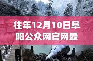 阜阳冬日之旅,探索自然美景,官网最新消息带你寻找内心宁静与平和