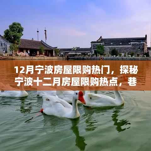宁波十二月房屋限购热点揭秘,巷弄深处的独特小店成热门话题