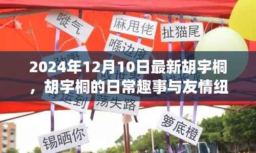 胡宇桐的日常趣事与友情纽带,温馨相聚在十二月的相聚时刻