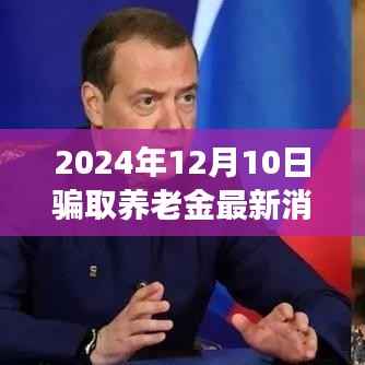 关于养老金骗取行为的深度剖析及最新消息(以2024年12月为例)
