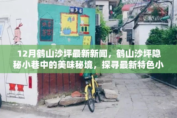鹤山沙坪隐秘小巷美食秘境,最新特色小店探寻报道
