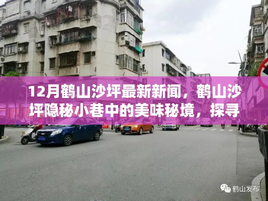 鹤山沙坪隐秘小巷美食秘境,最新特色小店探寻报道