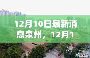 12月10日泉州最新消息,城市动态与热点深度解析