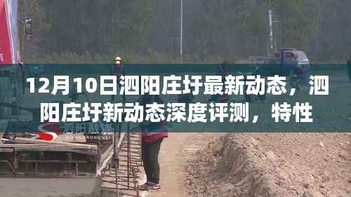 泗阳庄圩最新动态深度解析,特性、体验与用户需求的洞察