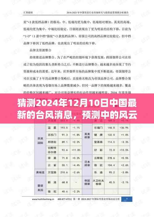 关于台风风云的预测,探讨中国最新台风消息与预测动向(2024年12月10日)