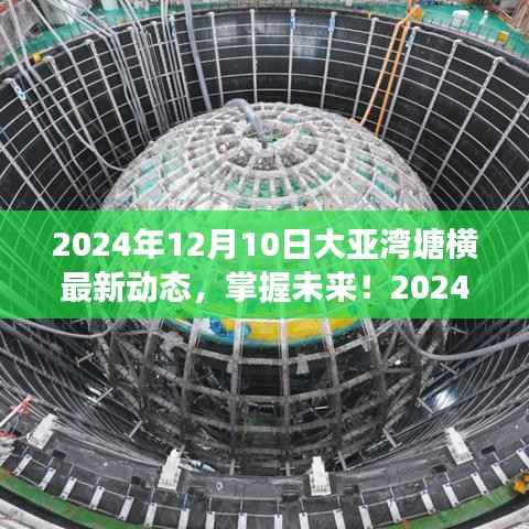 2024年大亚湾塘横最新动态全攻略，掌握未来，初学者与进阶用户必读