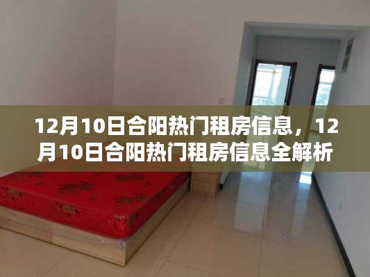12月10日合阳热门租房信息全攻略,寻找理想住所的必备指南