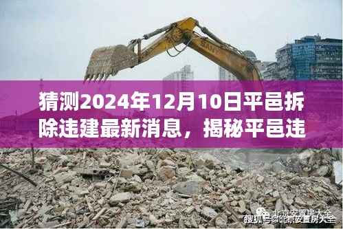 揭秘平邑违建拆除最新动态,聚焦深度解读即将来临的拆除行动最新消息(2024年12月10日)