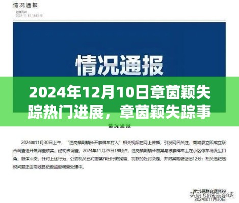章茵颖失踪事件最新进展深度解析(2024年12月10日)