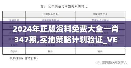 2024年正版资料免费大全一肖347期,实地策略计划验证_VE版2.369