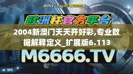 2004新澳门天天开好彩,专业数据解释定义_扩展版6.113