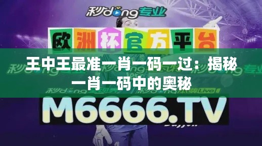 王中王最准一肖一码一过:揭秘一肖一码中的奥秘