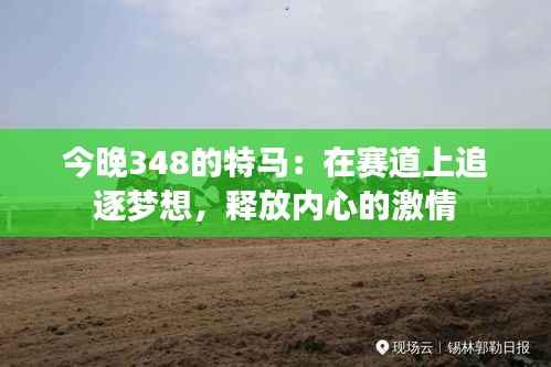 今晚348的特马：在赛道上追逐梦想，释放内心的激情