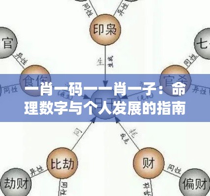 一肖一码一一肖一子:命理数字与个人发展的指南
