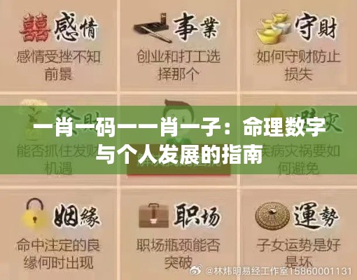 一肖一码一一肖一子:命理数字与个人发展的指南
