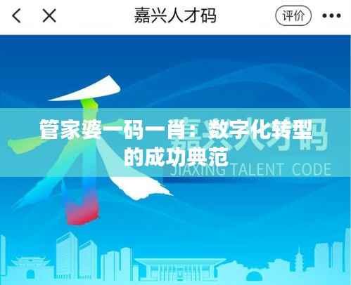 管家婆一码一肖:数字化转型的成功典范