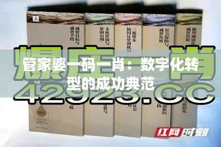 管家婆一码一肖:数字化转型的成功典范