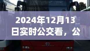 探寻自然美景的宁静之旅,2024年实时公交探寻之旅