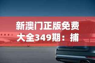 新澳门正版免费大全349期:捕捉最新的市场动态与心跳