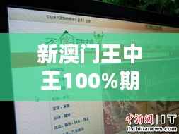 新澳门王中王100%期期中349期:纪录的背后,是对策略的极致追求