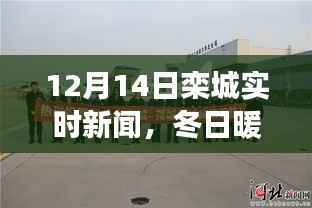 冬日暖阳下的栾城,实时新闻与日常温馨故事