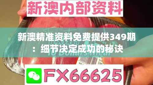 新澳精准资料免费提供349期:细节决定成功的秘诀