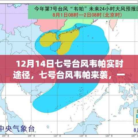 七号台风韦帕来袭,追寻内心平静的台风之旅