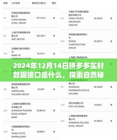 揭秘拼多多实时数据接口背后的故事,探索自然秘境,开启心灵之旅(2024年12月14日实时更新)