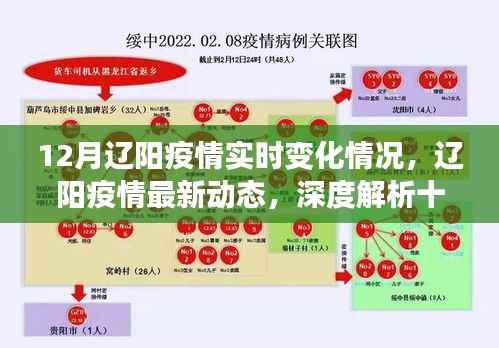辽阳疫情实时动态,深度解析十二月最新变化与进展